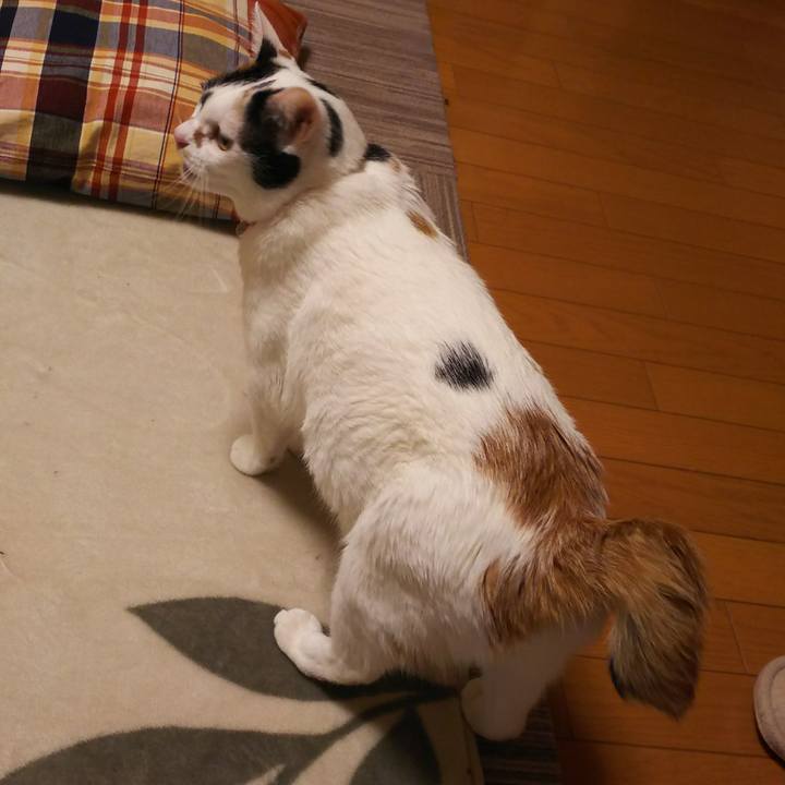 5e8144eb e092 4477 9cc6 29e3898a55b4 1517905210197