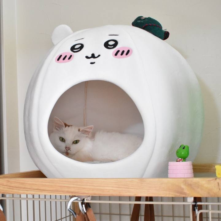 5e81532f 8bef 4ffa aaee e481a6d826b7 1759203442626