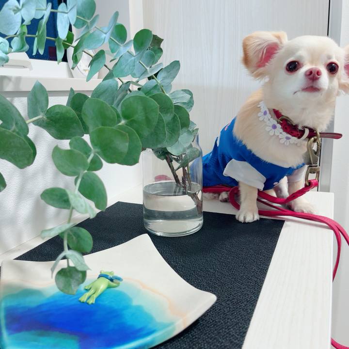 5e815a23 7776 4b62 81d6 da7867ebcfc6 1687776146493