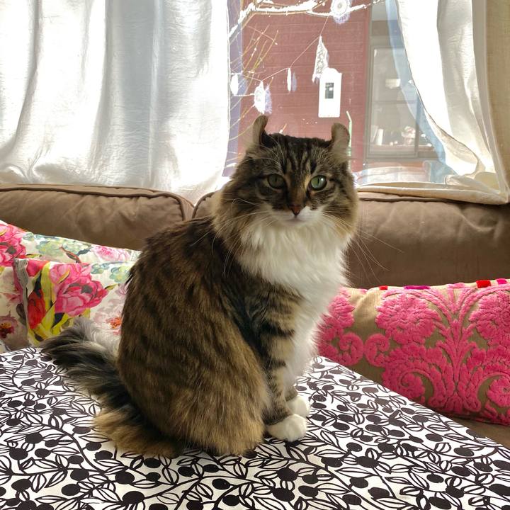 5e81700d 0611 49d8 9370 518351f82749 1642043966116