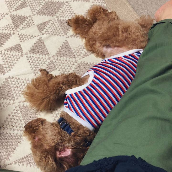 5e8183d3 06ad 4aed baa6 a4f9206e94a6 1565000968568