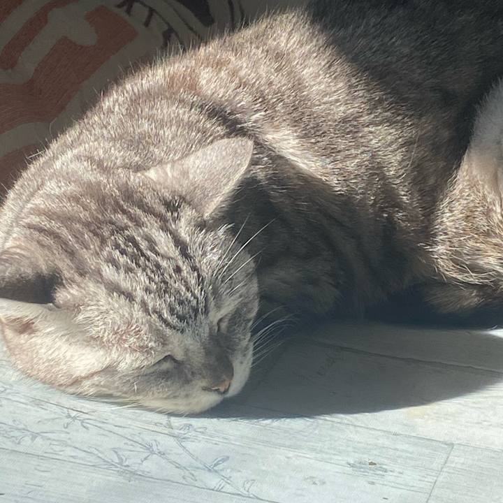 5e81b136 927c 48d9 a4f6 4197cbb7ccc4 1737861103744