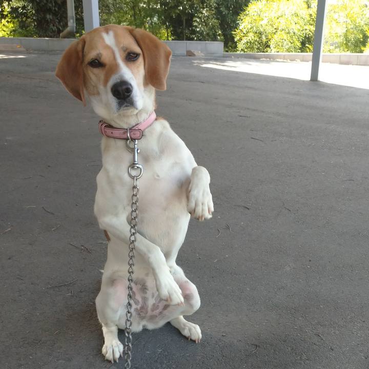 5e81f531 6ec5 420d ac79 5875edc6ca37 1593659148244