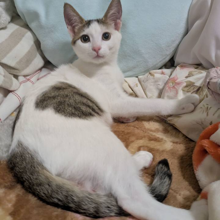 5e824ab0 e82d 4f44 94e3 f0059d54e53e 1766663315282