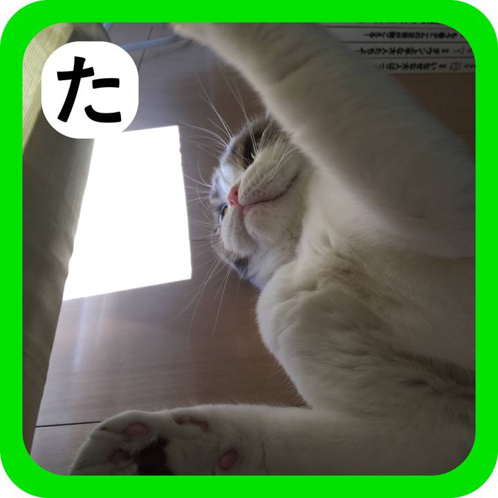5e825448 5ff9 4627 b7ae 827610961fe9 1514853096644