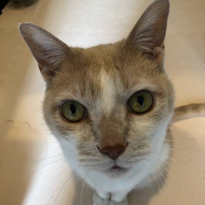 5e825c22 40e6 48fa b8f2 a94fb8ebda60 1619831038114