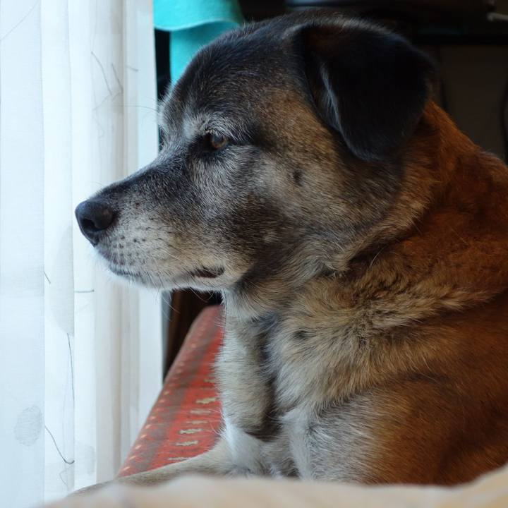 5e827a8f 0de4 437d 82fe e415cc4d8381 1623112030726