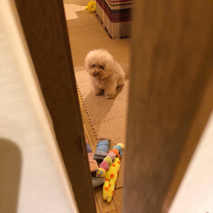 5e82ae15 06c5 401a b4ff 2083f6ac0950 1540464959481