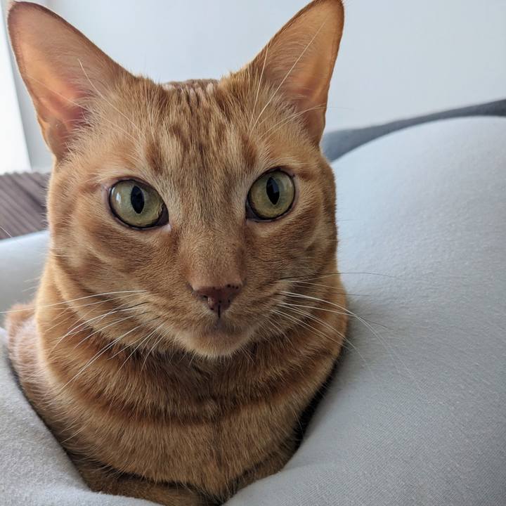 5e82ea8a 96ae 4f93 8d46 d8539b7a6d14 1704269234778