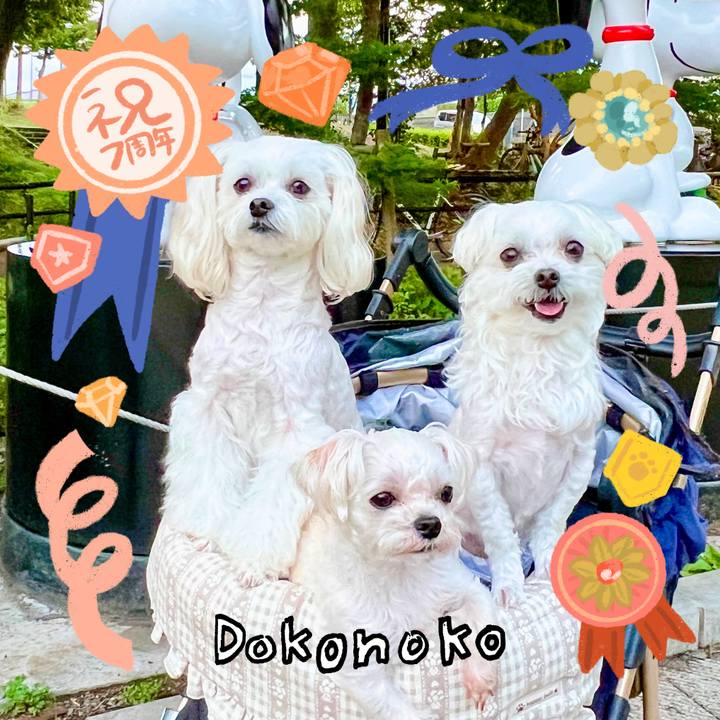 5e82f6e5 c098 4228 bfa6 98b2b79b949f 1685935866375