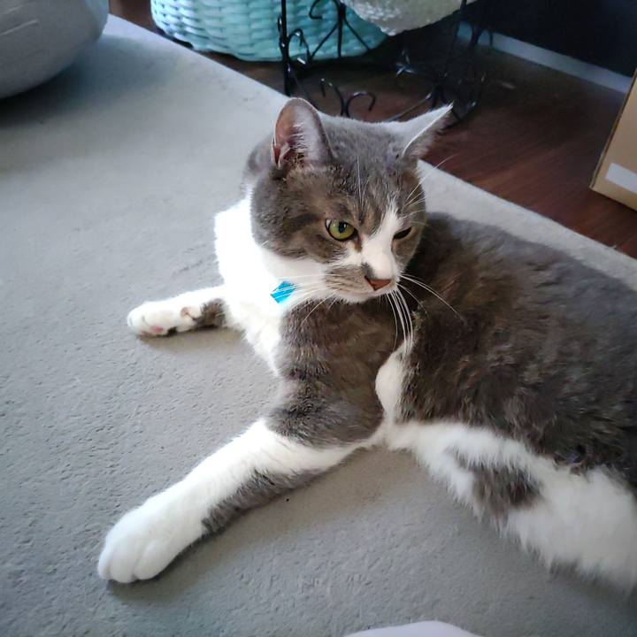 5e82fe14 638b 4e31 94ec 39261010389c 1718411522884