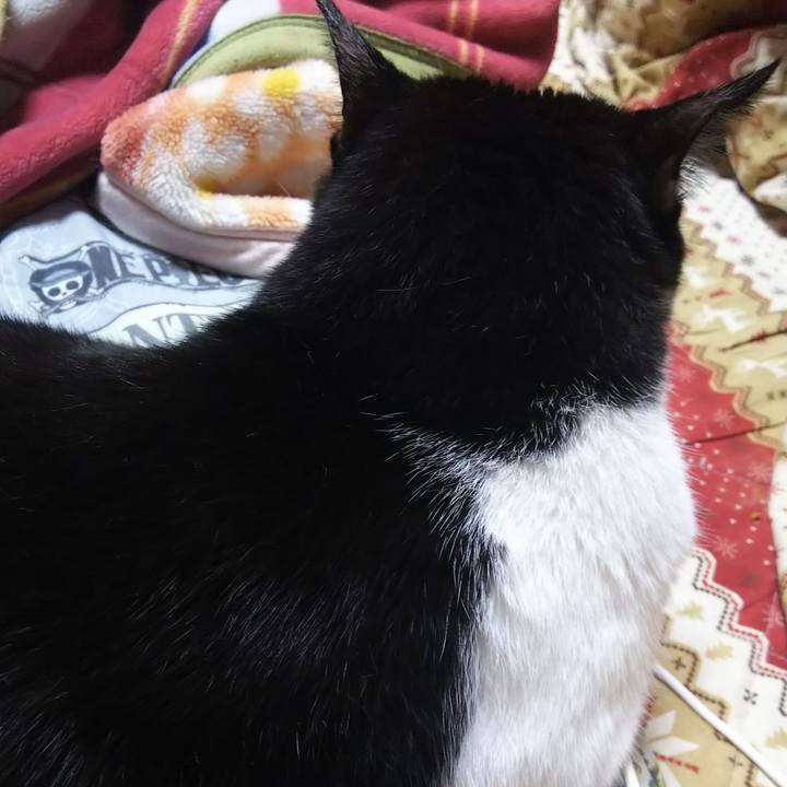 5e830791 210c 4962 bf27 15c6fb8a662e 1573513007461