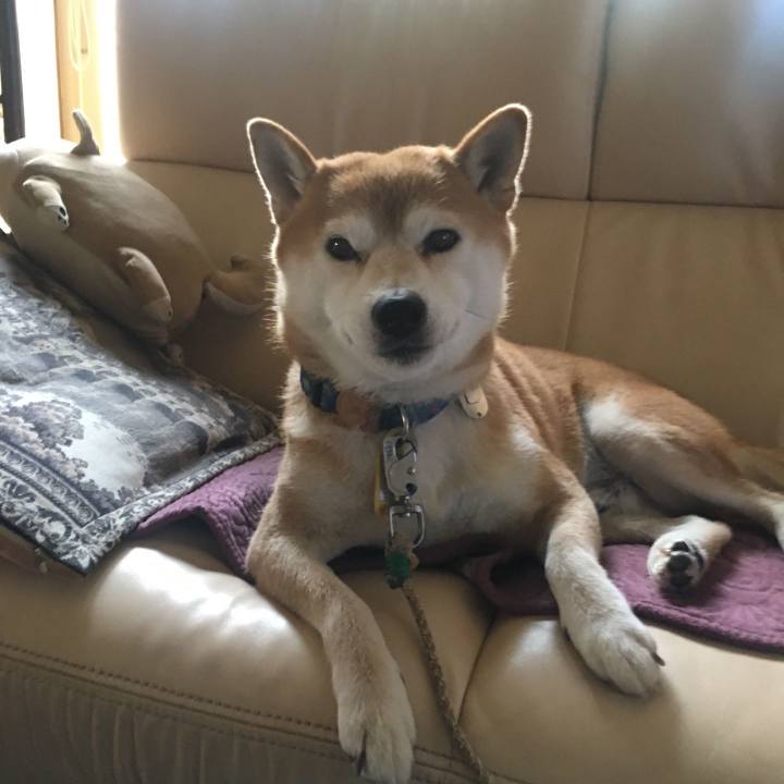 5e831d8d 58ab 4e77 9f08 6d5353b05f90 1565508338949