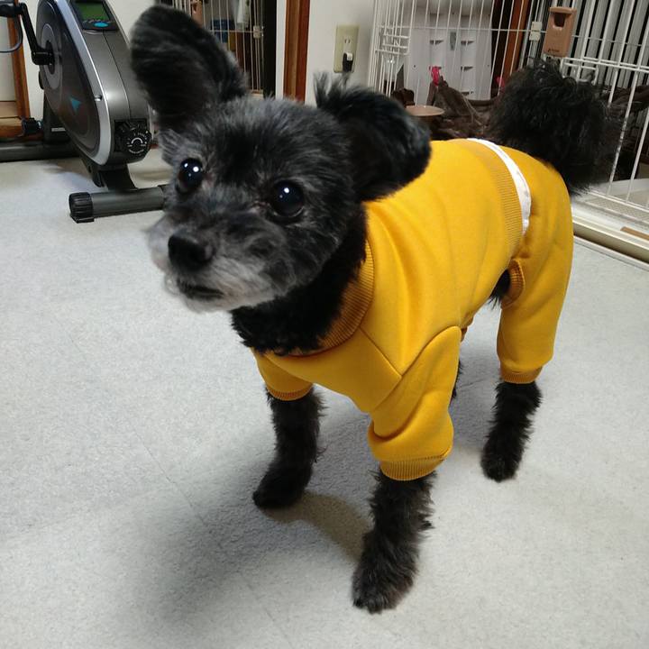 5e83650d 813a 4a92 a722 3de54b20fc4a 1702294064786