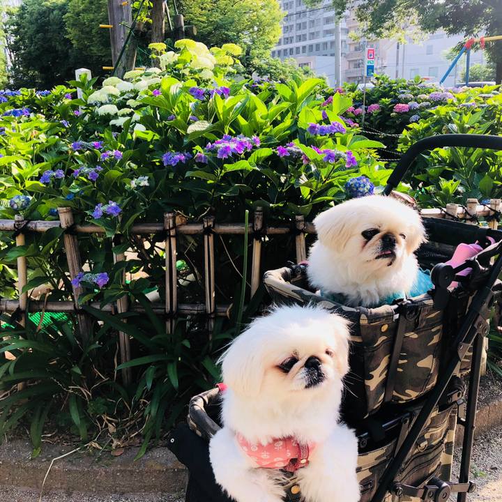 5e838a28 86d0 48f8 8b43 956505a94244 1559787300061