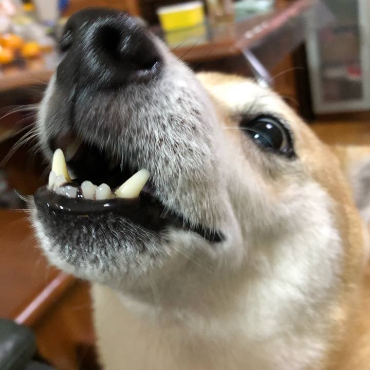 5e83afd3 1cd5 4fac a88f 1a2359d2f900 1603337468771