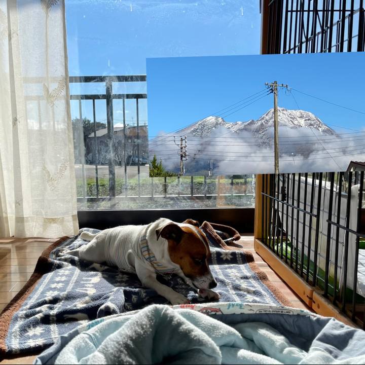 5e83d194 93be 4969 9a9c 9162e68582e1 1634515559439