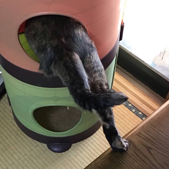 5e83dd43 d66e 4864 8864 5366f844e573 1746005594927