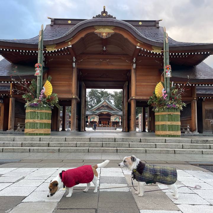 5e83e8e0 7609 4a64 8e8c 290d961afb6d 1703807174490