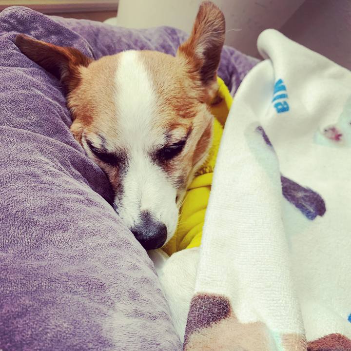 5e83f3fc 8ce2 4430 9434 03dc3cfef4df 1648170219386