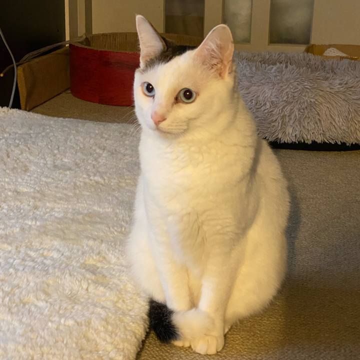 5e840155 47c2 4d12 8ab0 7890a5ee17a4 1670362312571