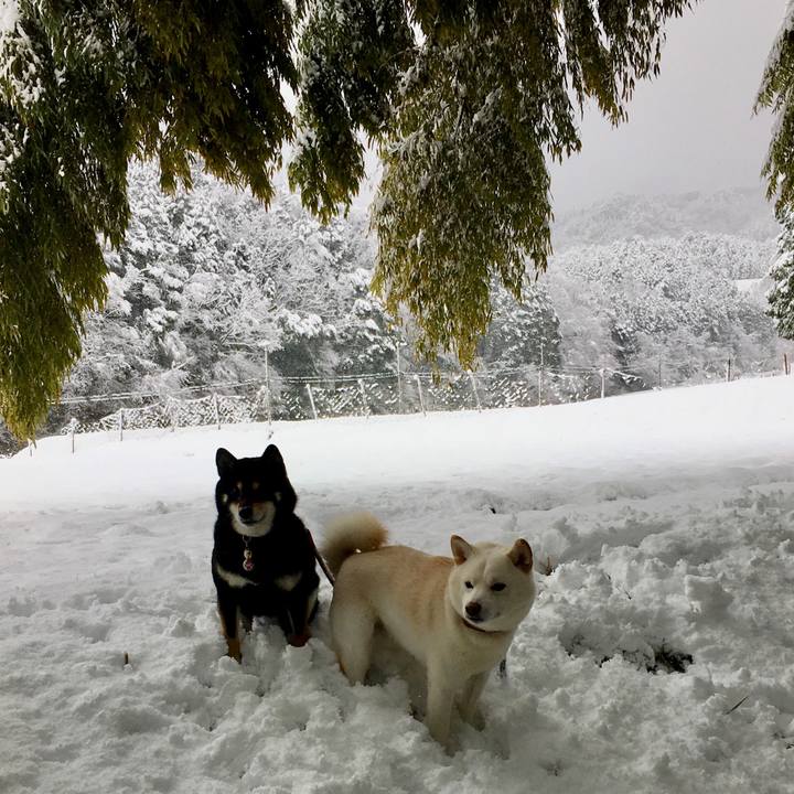 5e840383 9965 4704 9df6 e6cb0e6727e1 1548474814995