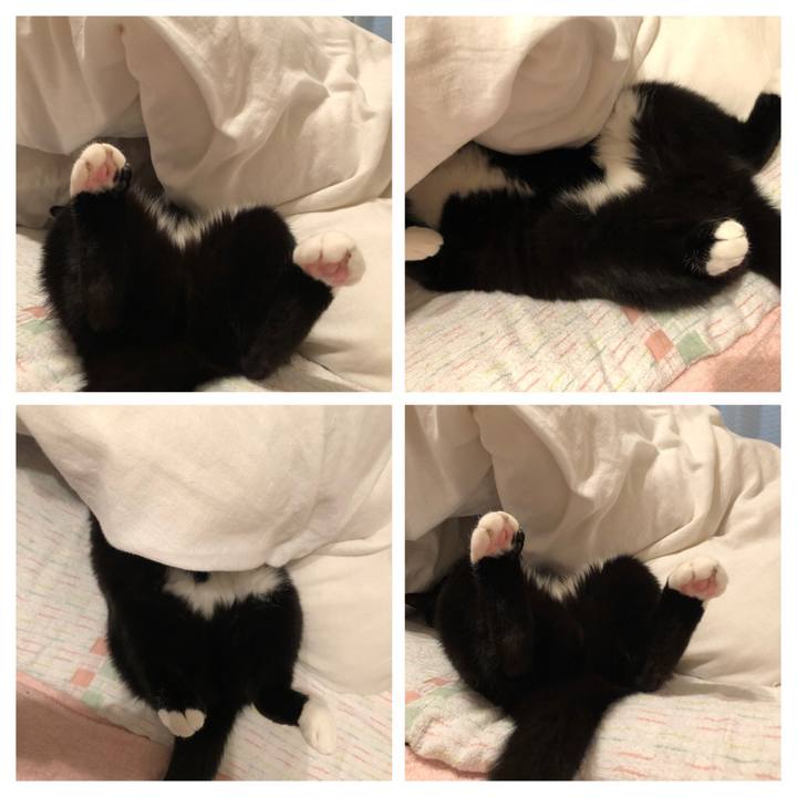 5e84193e e9df 4dcd 8c6e 79ab31b1534a 1589148805911