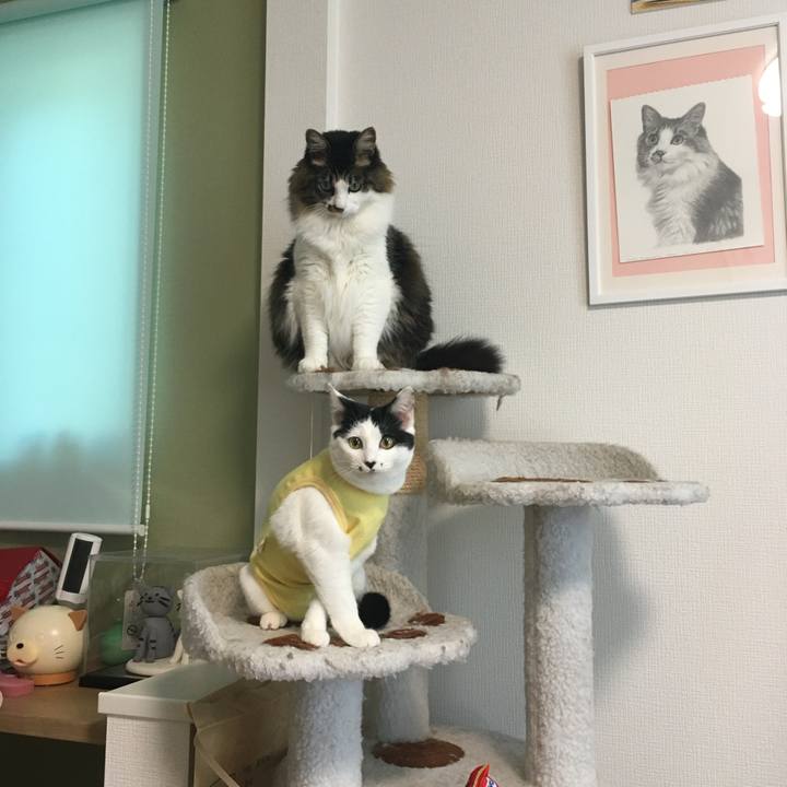 5e842665 0c2d 446f 8fd9 3fe19049d1a5 1766580570312