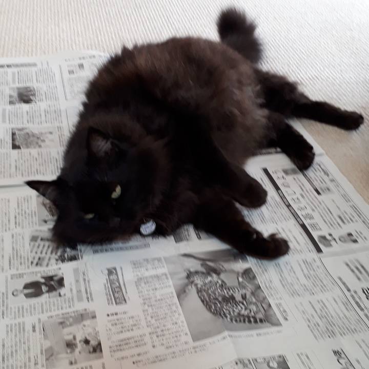 5e844fe9 214a 46c8 89f4 032d0603df95 1518321664530