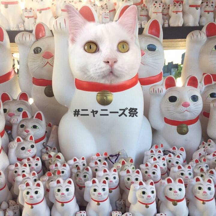 5e847b20 755c 4f49 8e1c 4656ed9166d0 1538222409317