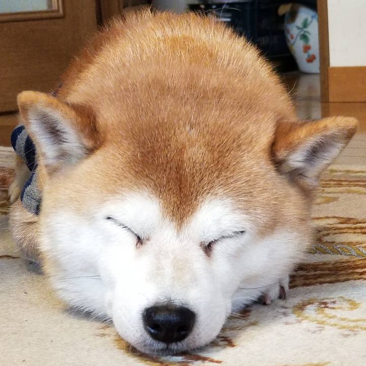 5e84822b 7a86 443b 9660 7b5e9b63c5ce 1580692049551