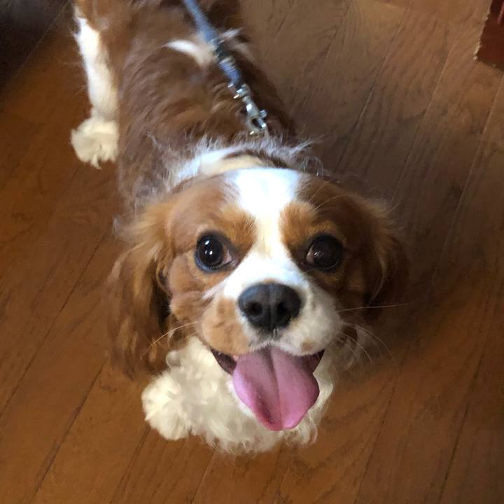 5e849721 cd90 4d78 8c57 0350f8471b62 1592139255067