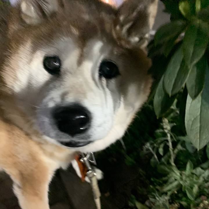 5e84ab5b a673 4f66 b5f3 1f026c57f6e8 1611233954671