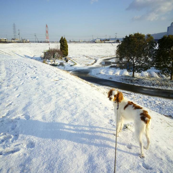 5e84ae37 01b7 4f84 8a51 07bd2c1184cc 1518493822924