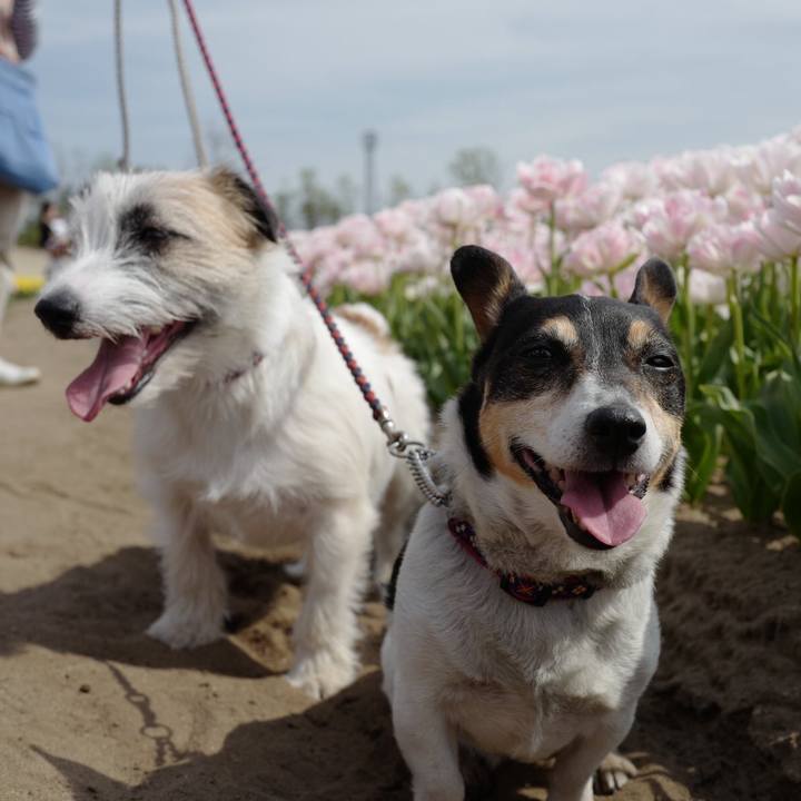 5e84d329 946f 4b0e 88ea 55eae4860a6f 1525155611227