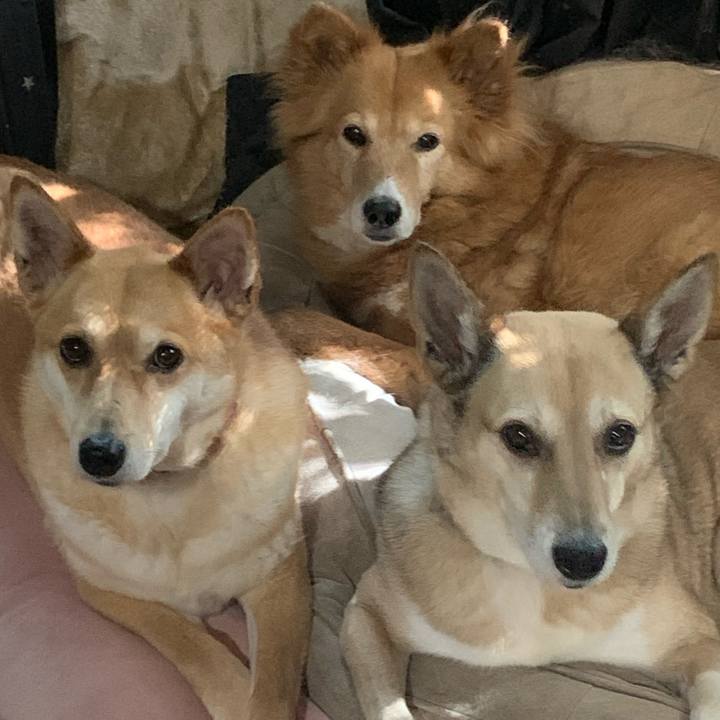 5e84f172 afb4 49b2 84bb 686828ea2cc8 1715527716229