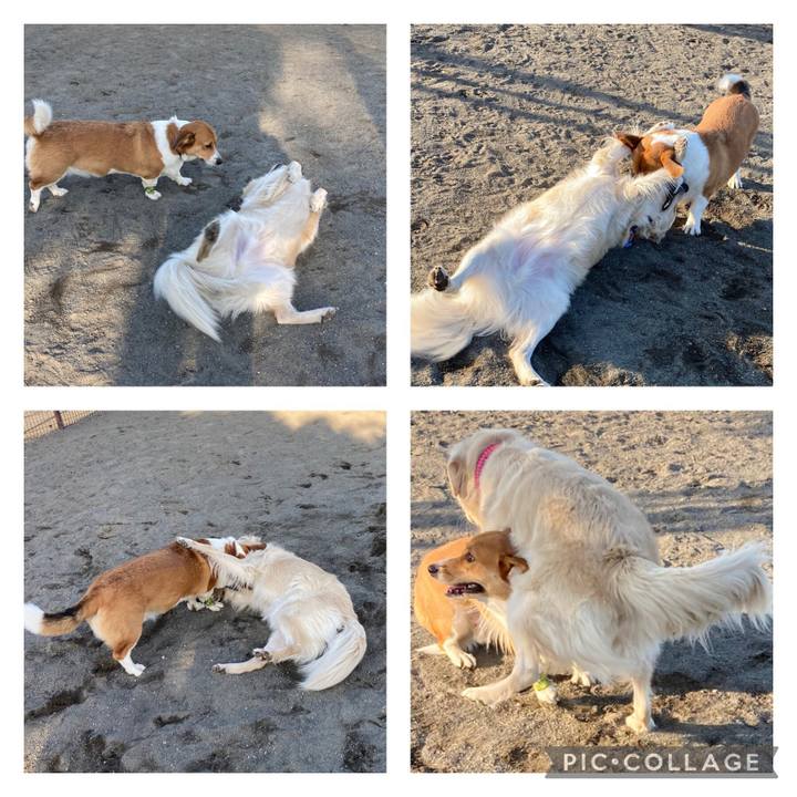 5e84fdaa 930c 4633 92df 06f7e79ba716 1635126182245