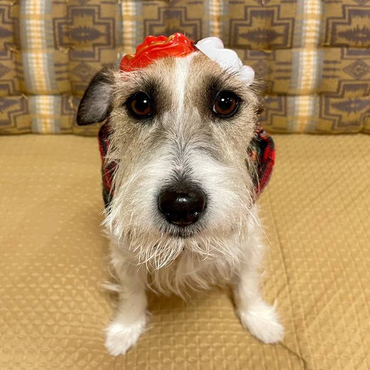 5e8501d1 9c82 425a 9b9a eb3d9b7ffbb6 1675425897942