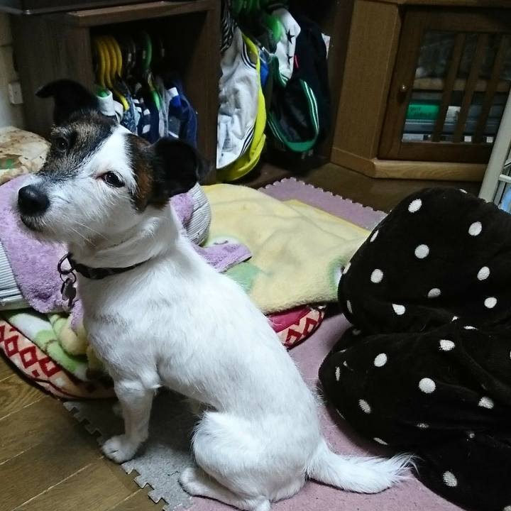 5e8589cc 6217 4af0 9aef 1e8bb55aee06 1518267624144