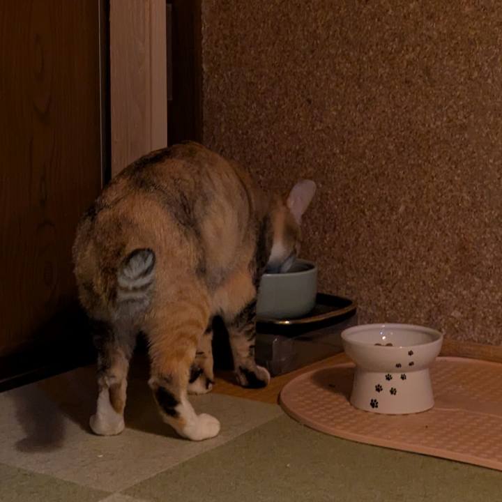 5e85959c c0d3 42c7 b9d9 88e05cc8d019 1762019867909