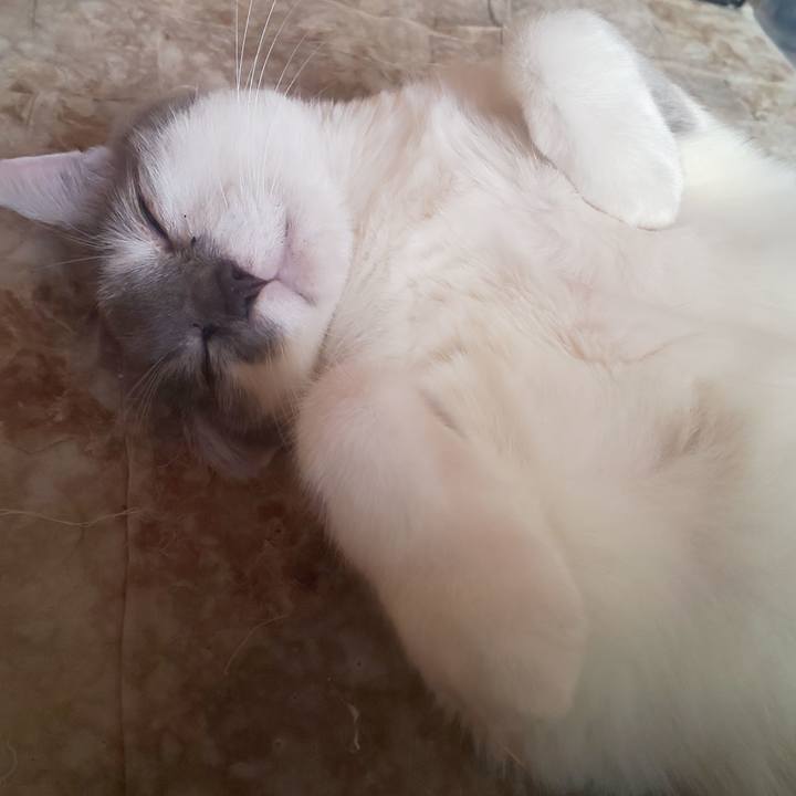 5e859c99 b2a0 4e58 9722 06ebba773a99 1698774395186