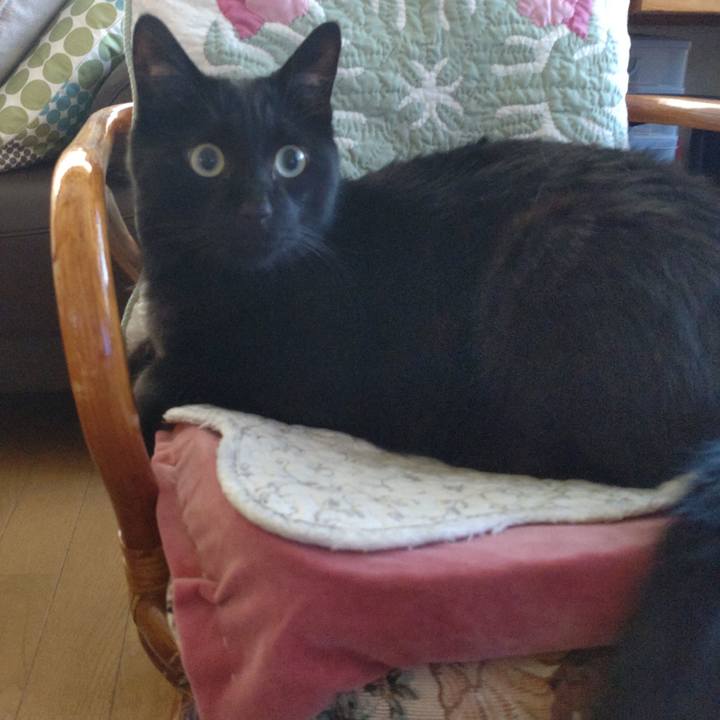 5e85b7c0 5831 4d56 a171 96552a40bc00 1690073395574