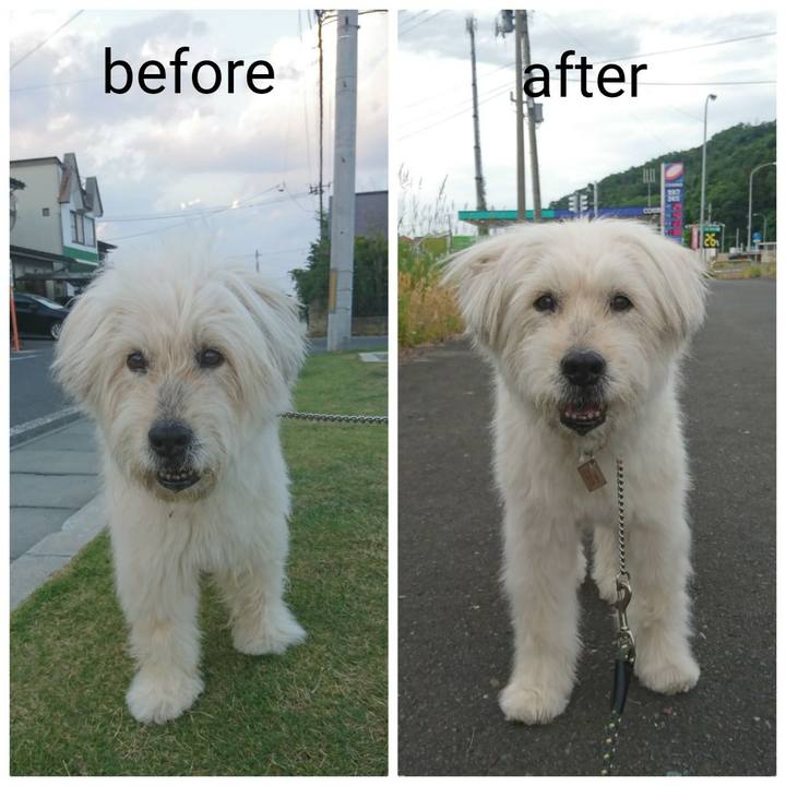 5e85bd47 ac25 4c8f b0aa 326096127d97 1591953762543