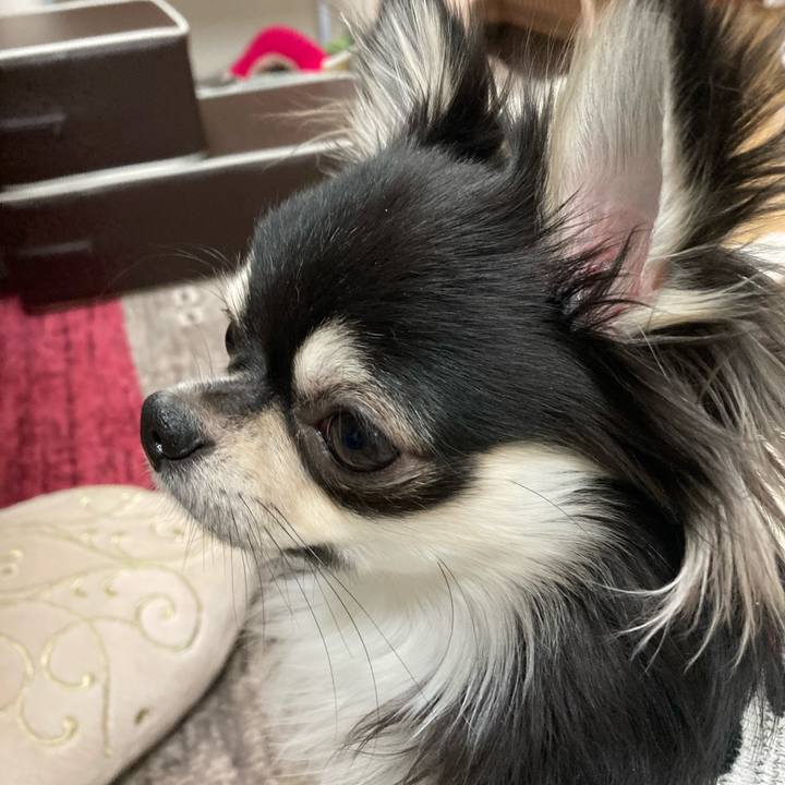 5e863e17 b62e 4ce8 ba01 19f159c5d2ad 1609343122755