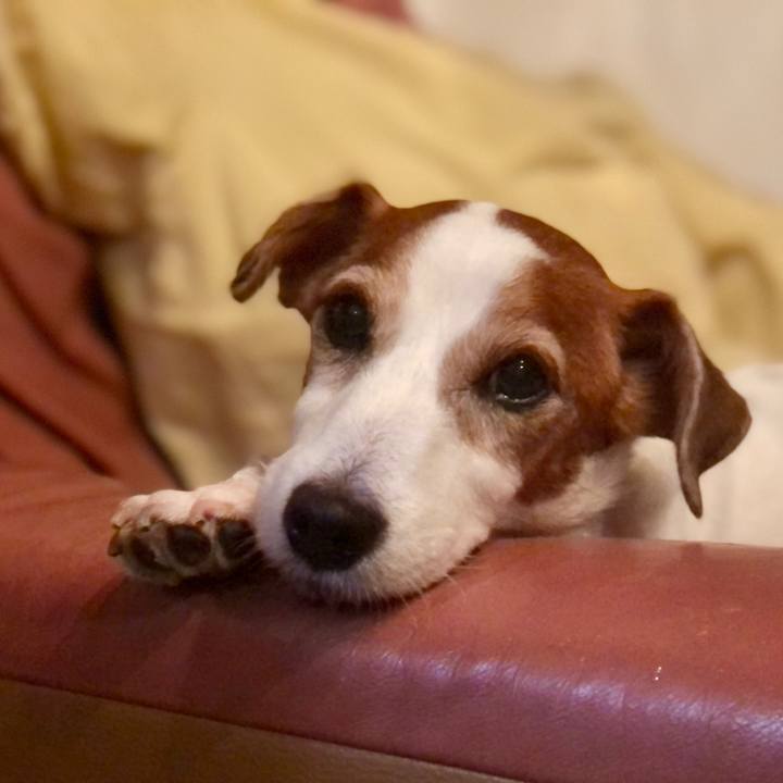 5e86449e 2ba4 4a8d ad14 ee5036163605 1759471134834