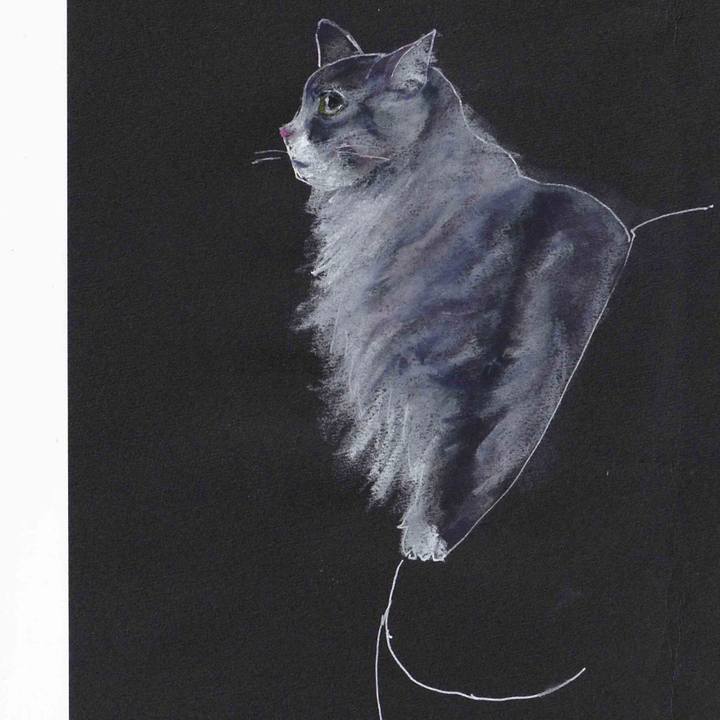 5e86596b ba9b 49ab 9199 6d10d3e70583 1616432240524