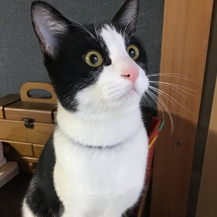 5e86616a fb29 4d31 bf22 b819b945a66e 1644446791631