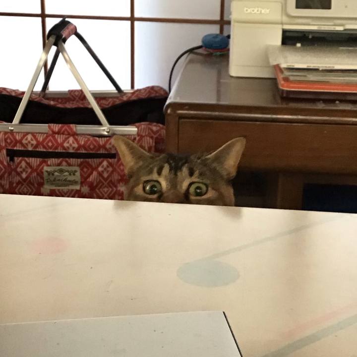 5e867f94 a757 4407 b10b 1079ad4d43a5 1608594813146