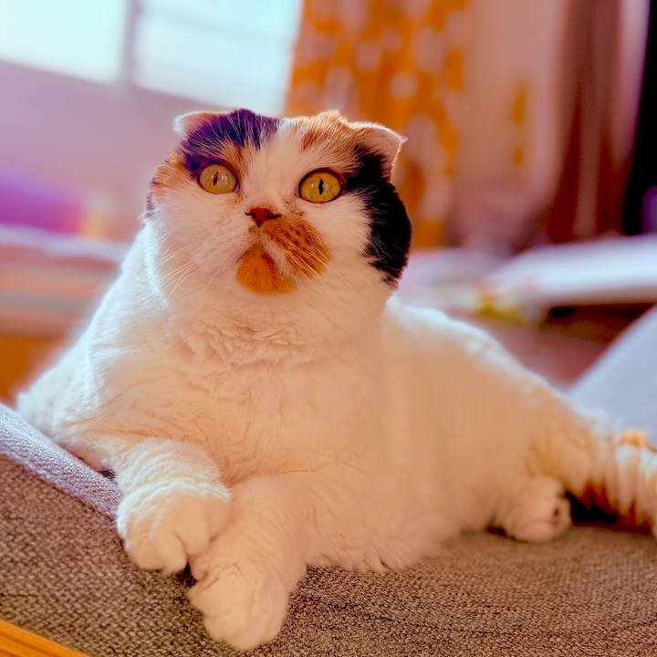 5e868f8c ae15 4994 b65a d067054fc164 1741648349640