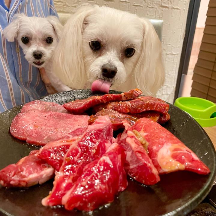 5e869210 91fc 4a0c a7cf 4463b5145efd 1625387889117